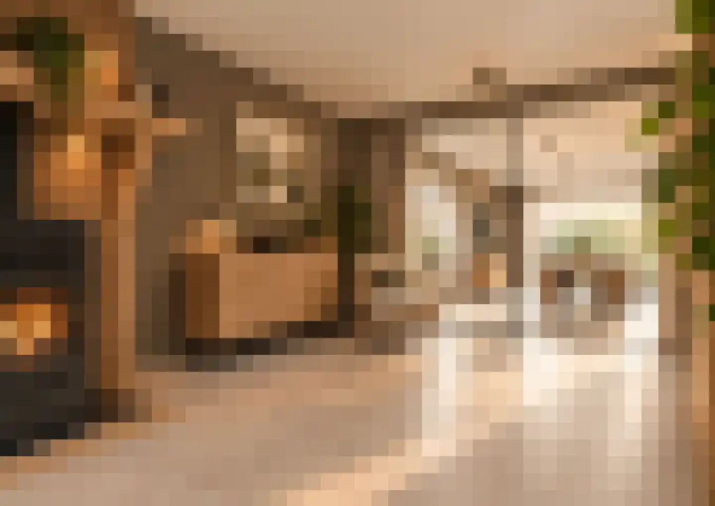Trompstraat 10 Druten thumbnail 7