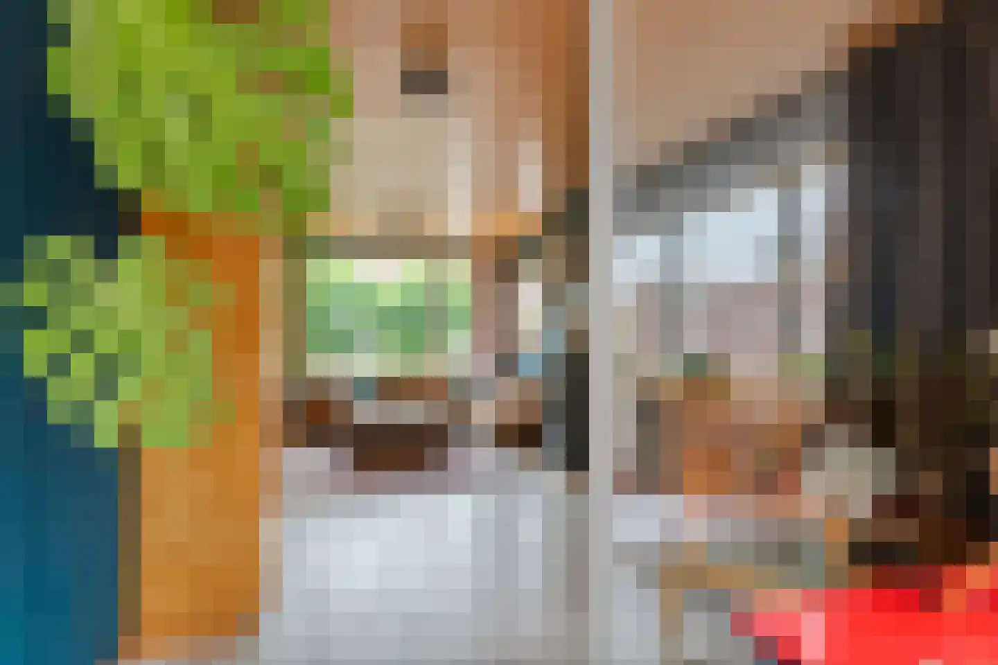 Trompstraat 10 Druten thumbnail 8