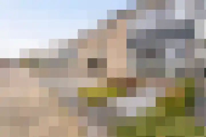 Trompstraat 11 Borne thumbnail 10
