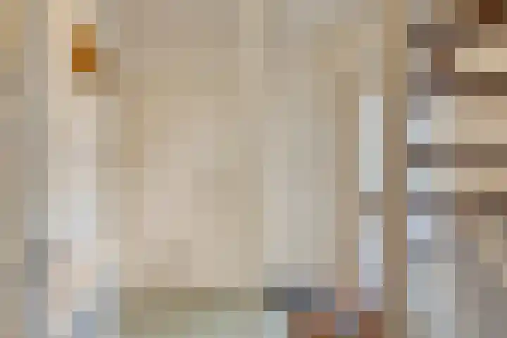 Trompstraat 11 Borne thumbnail 13