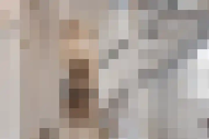 Trompstraat 11 Borne thumbnail 30