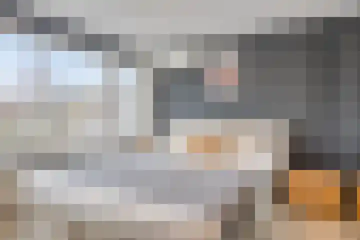 Trompstraat 11 Borne thumbnail 32