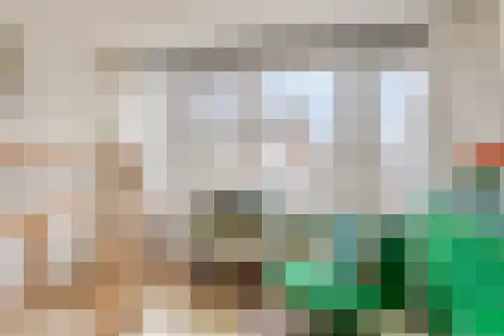 Trompstraat 11 Borne thumbnail 40