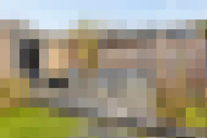 Trompstraat 11 Borne thumbnail 49