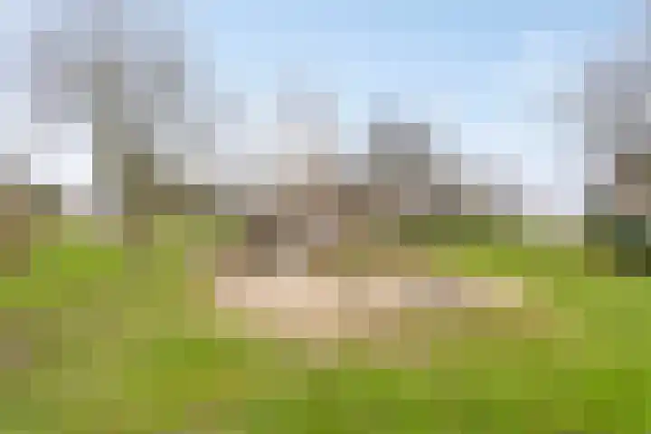 Trompstraat 11 Borne thumbnail 53
