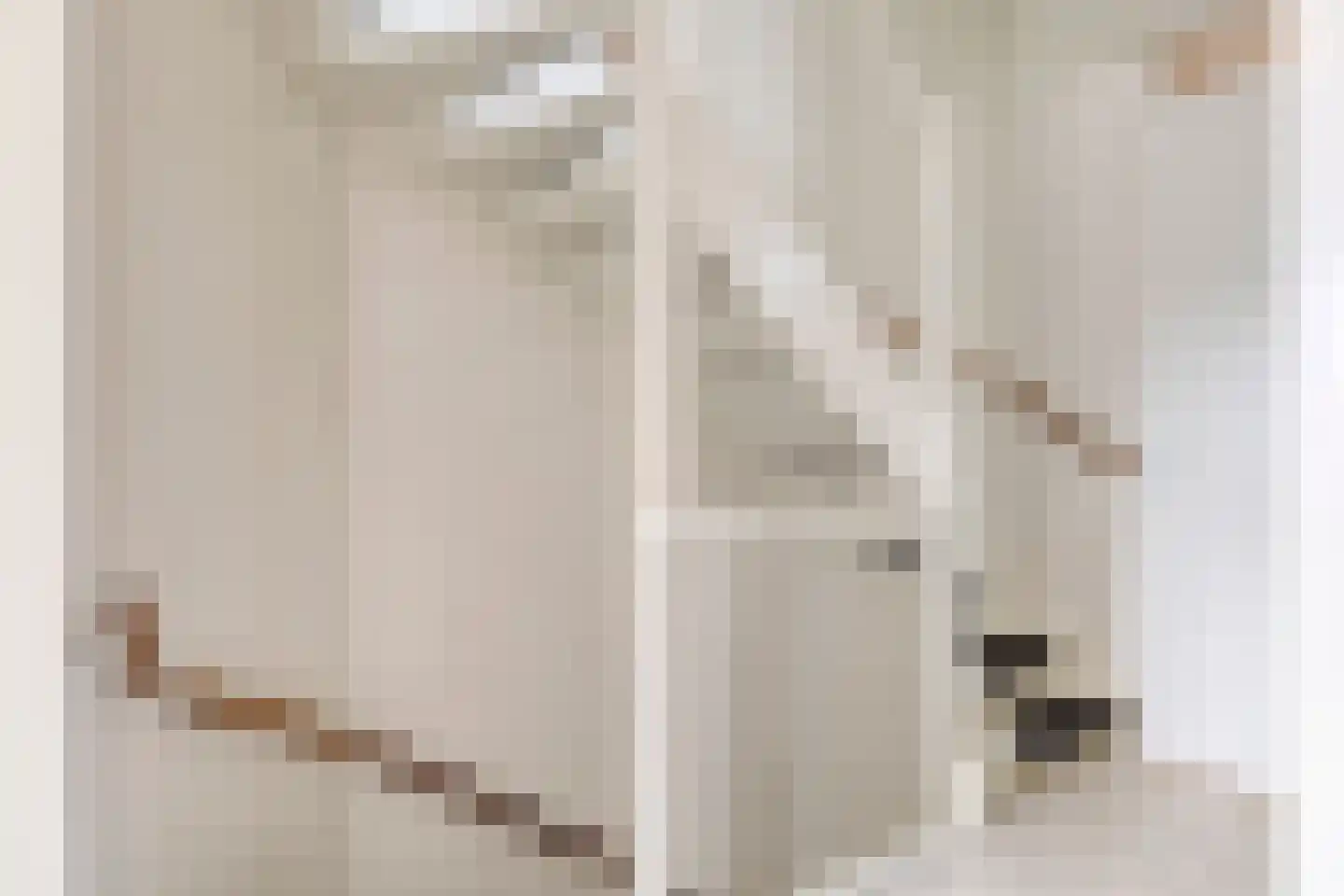 Trompstraat 11 Eindhoven thumbnail 13