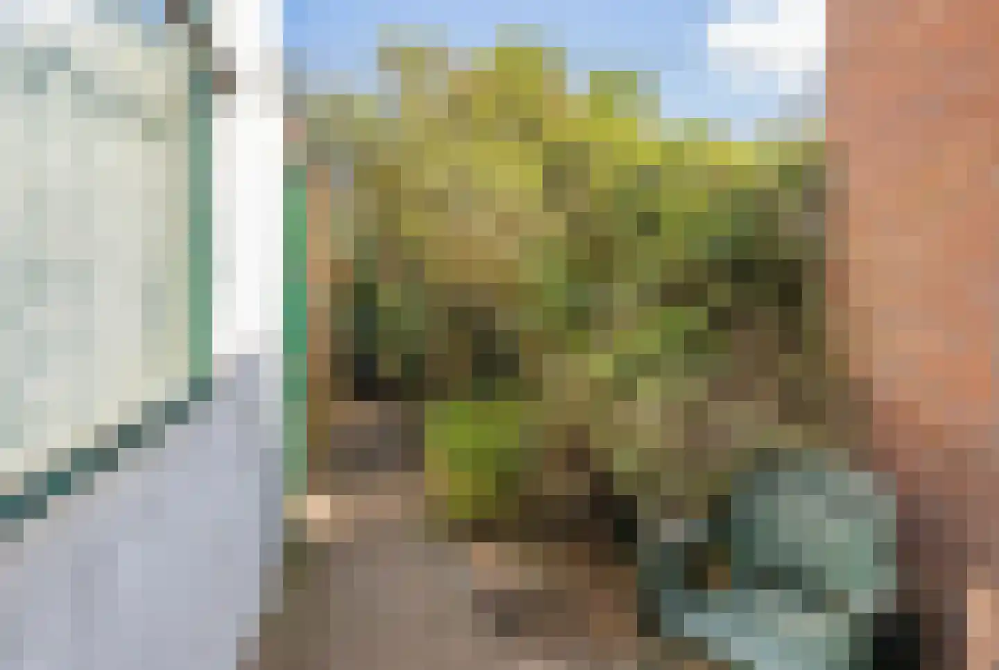 Trompstraat 115 IJmuiden thumbnail 9