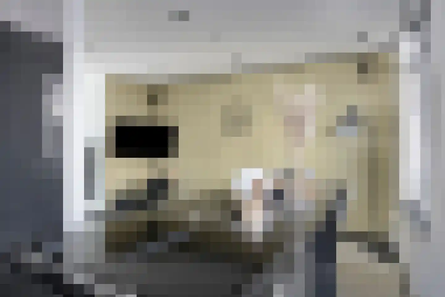 Trompstraat 12 Alphen aan den Rijn thumbnail 8