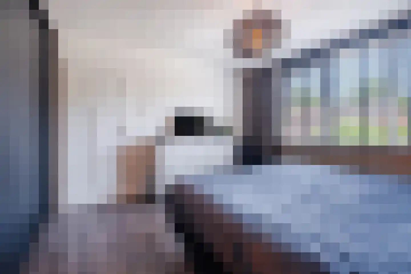 Trompstraat 12 Son en Breugel thumbnail 21