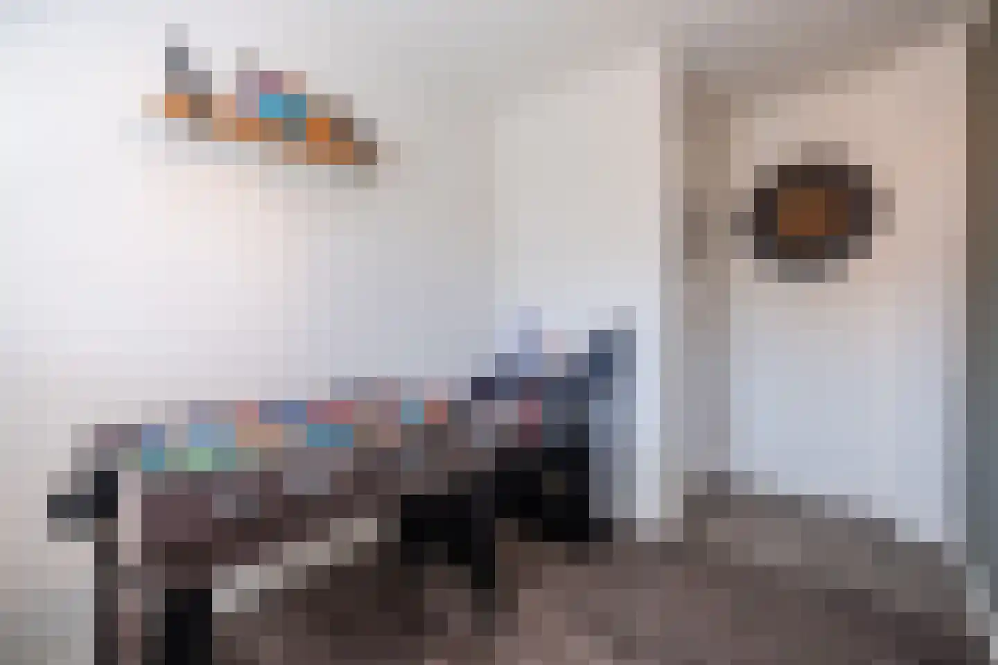 Trompstraat 12 Son en Breugel thumbnail 25