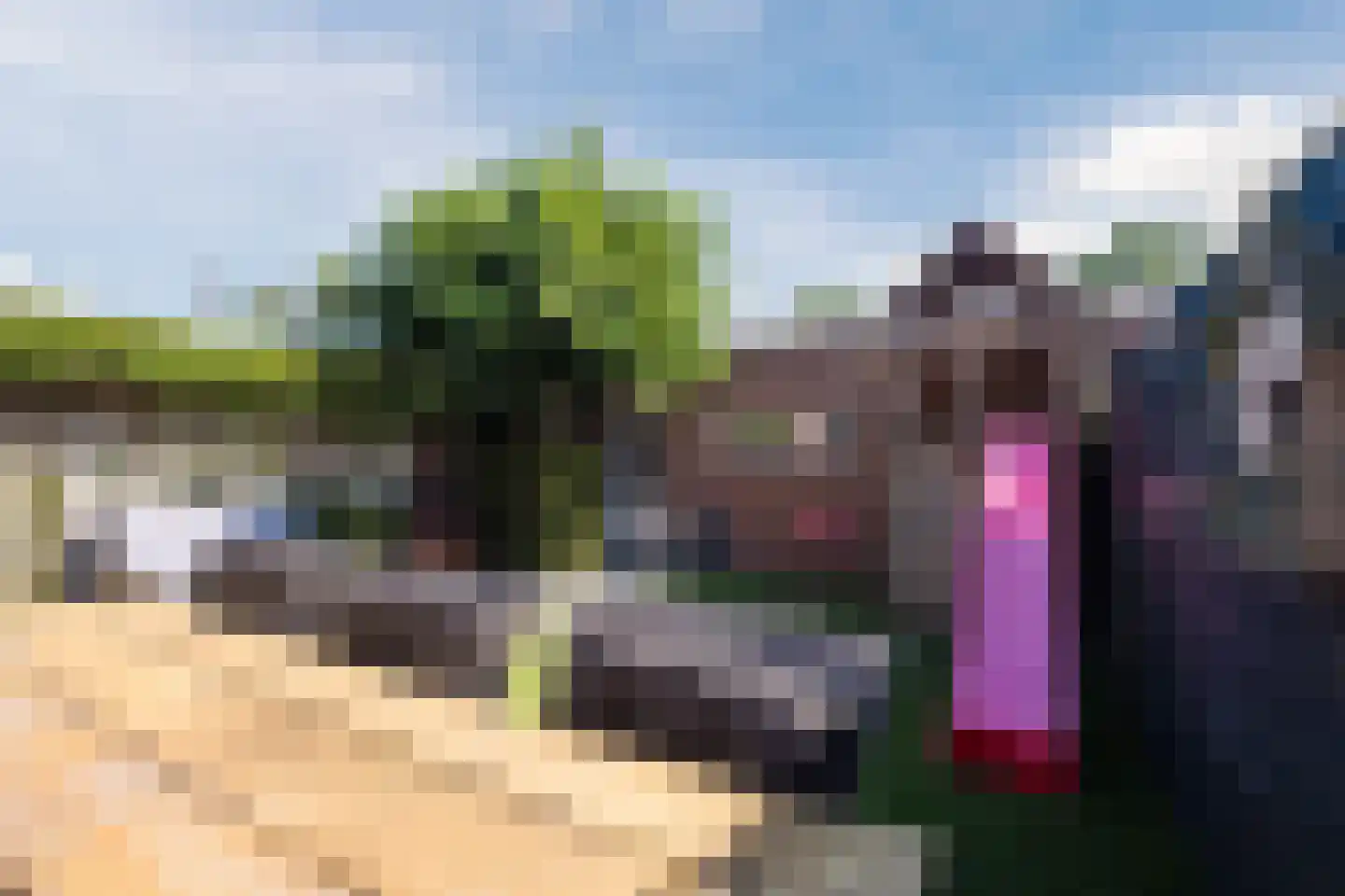 Trompstraat 12 Son en Breugel thumbnail 34