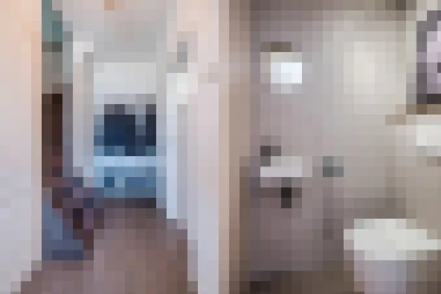 Trompstraat 12 Son en Breugel thumbnail 6
