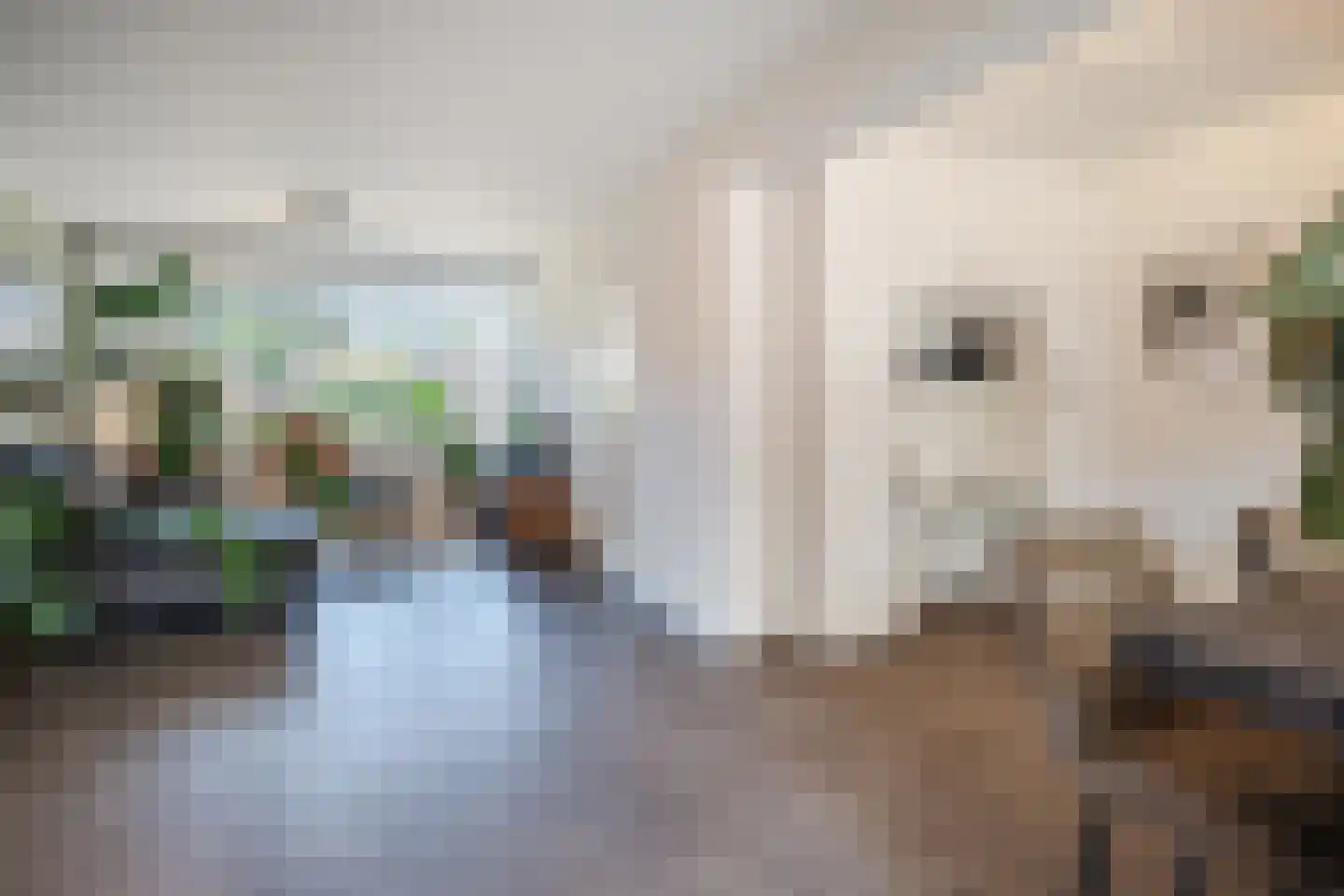 Trompstraat 12 Son en Breugel thumbnail 7