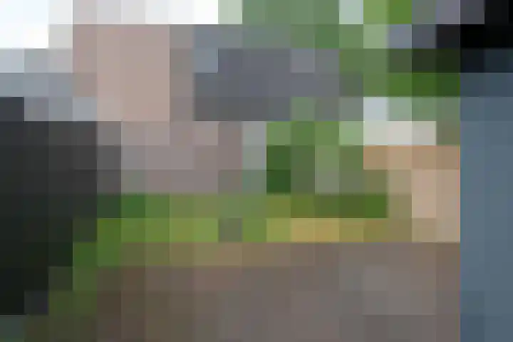 Trompstraat 14 Almelo thumbnail 12