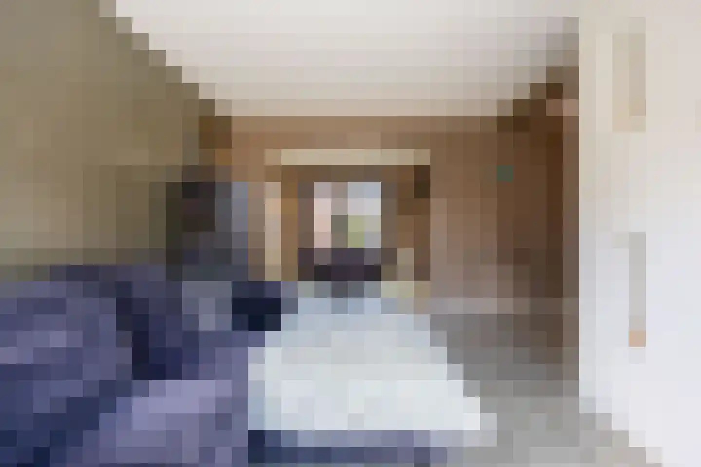 Trompstraat 14 Bedum thumbnail 10