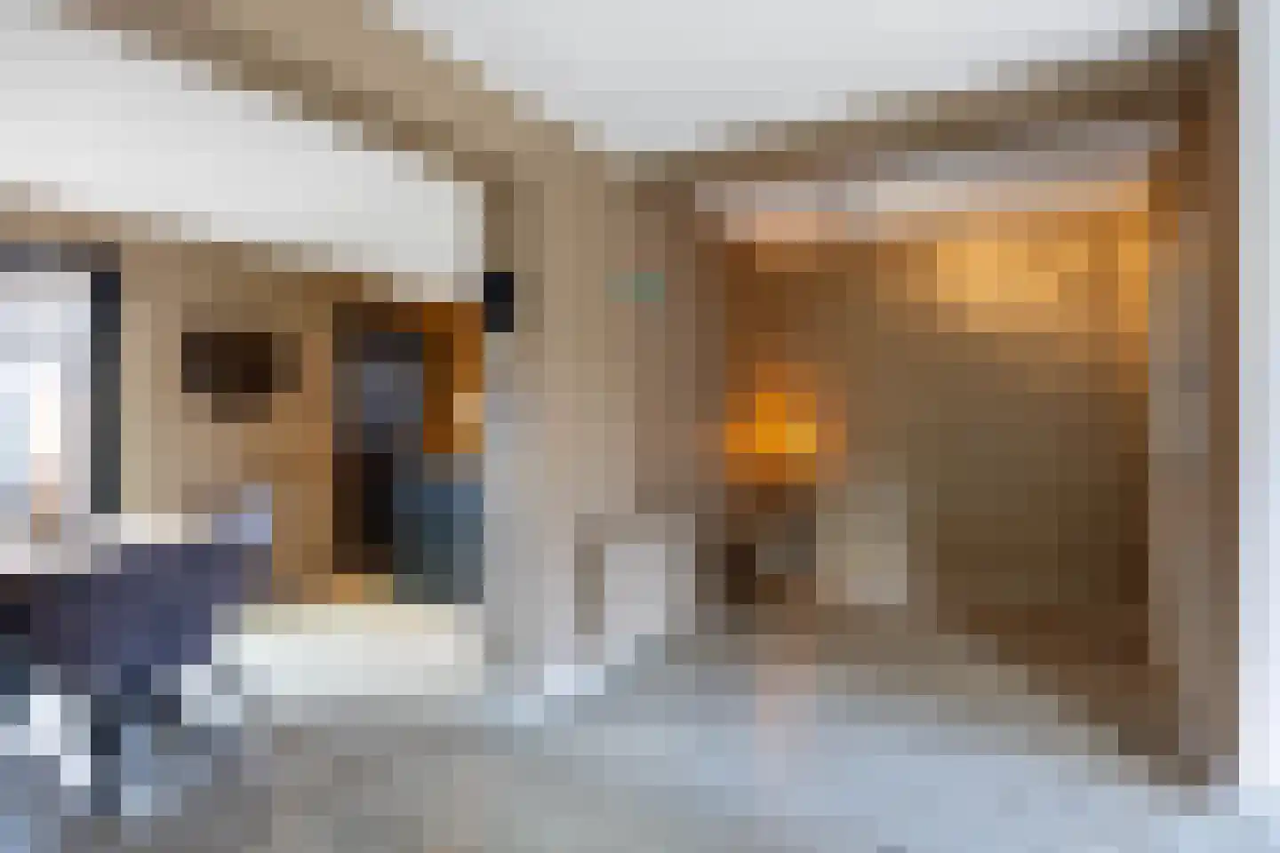Trompstraat 14 Bedum thumbnail 11
