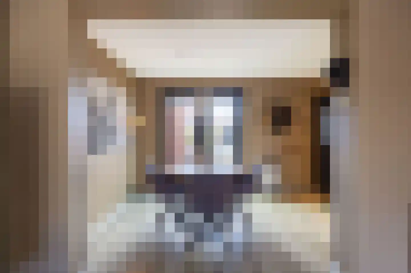 Trompstraat 14 Bedum thumbnail 12