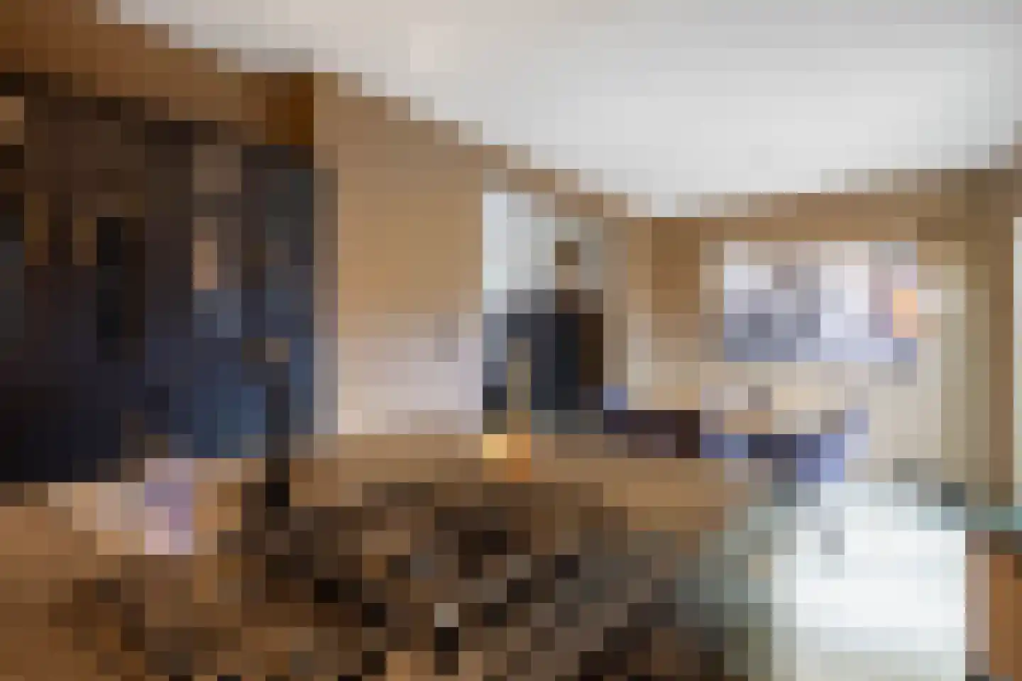 Trompstraat 14 Bedum thumbnail 18