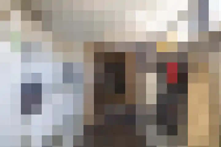 Trompstraat 14 Bedum thumbnail 21