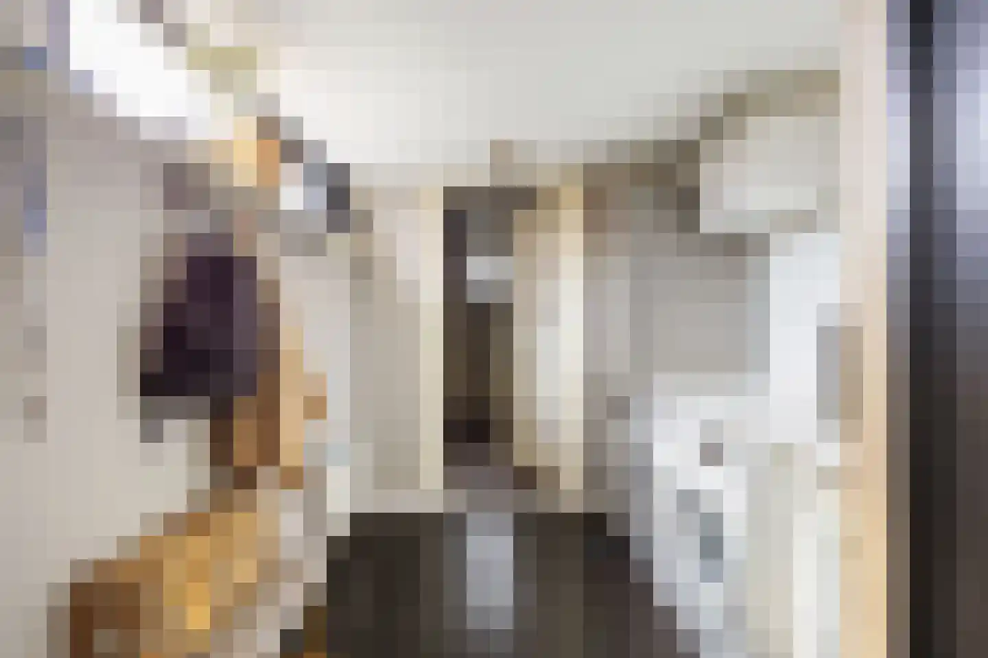Trompstraat 14 Bedum thumbnail 21
