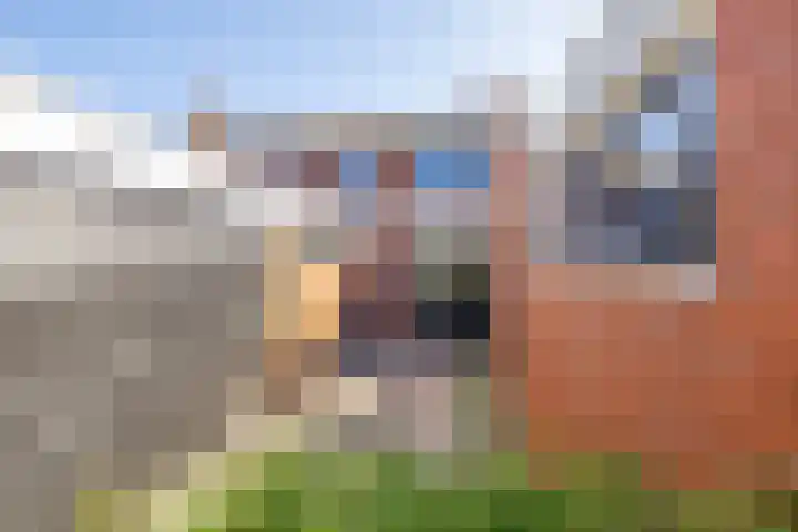 Trompstraat 14 Bedum thumbnail 36