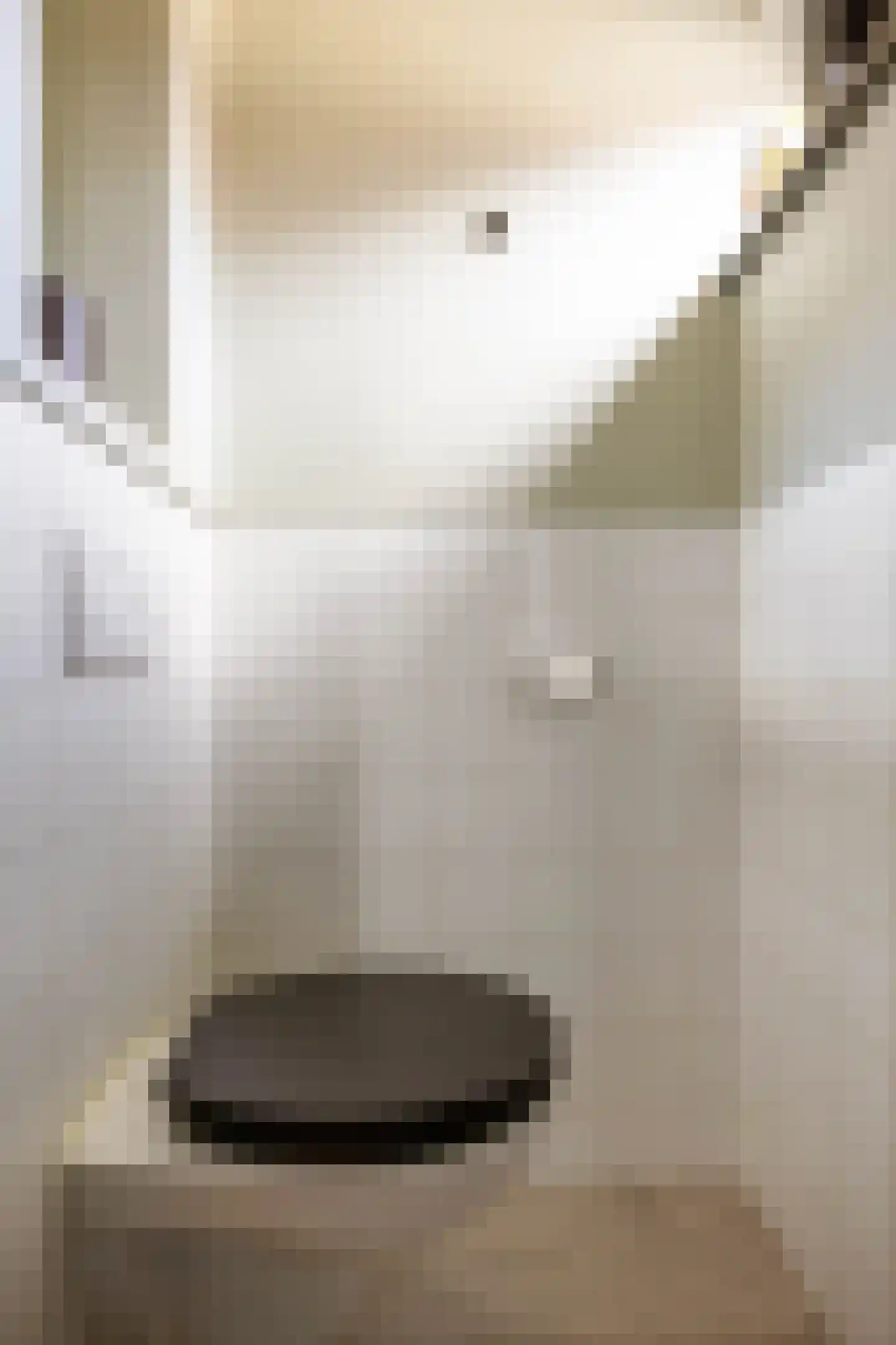 Trompstraat 14 Bedum thumbnail 6