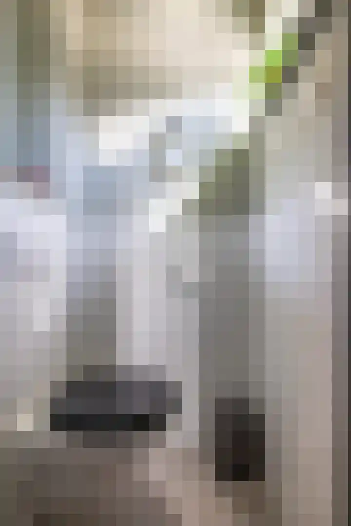 Trompstraat 14 Bedum thumbnail 6