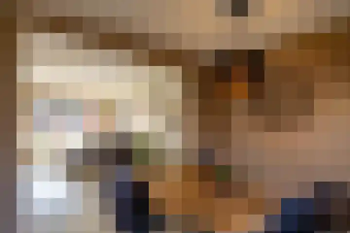 Trompstraat 14 Bedum thumbnail 7