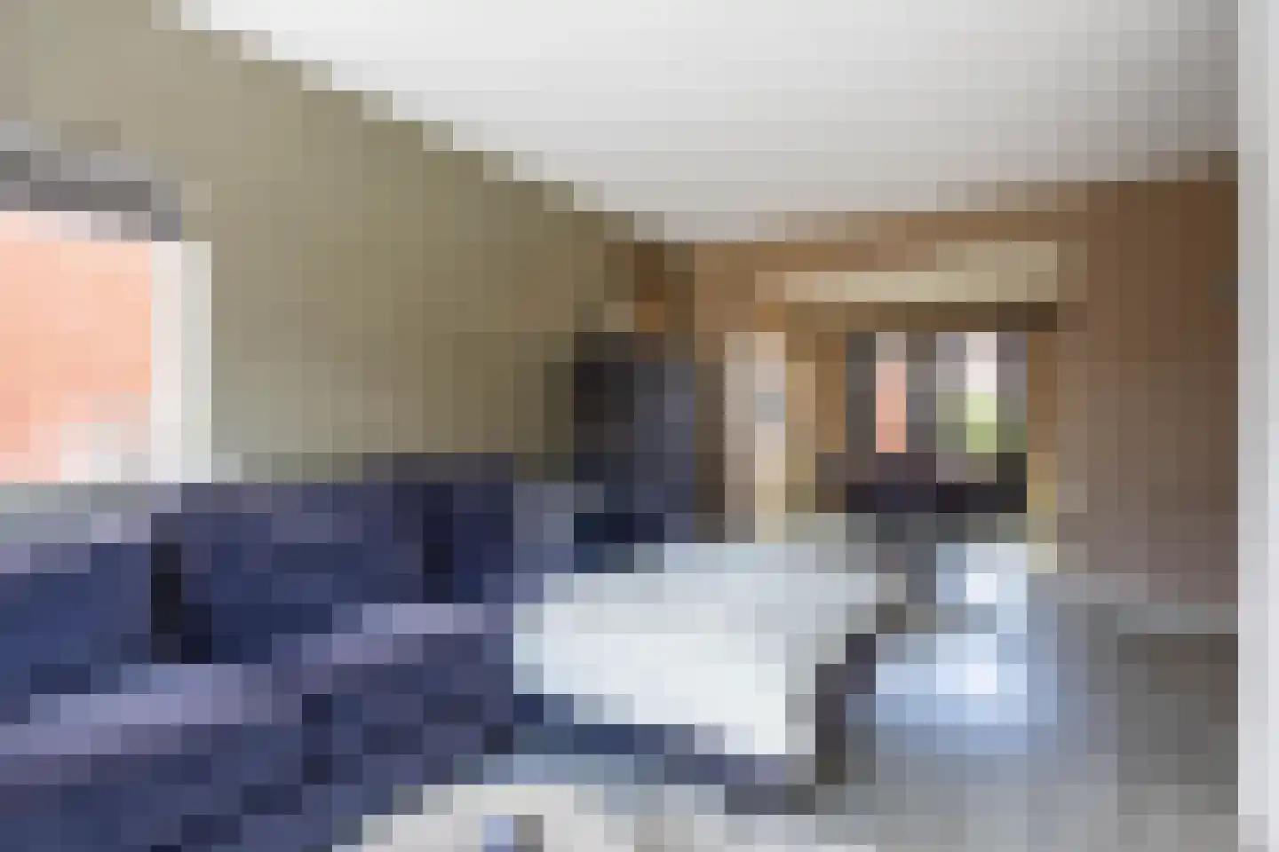 Trompstraat 14 Bedum thumbnail 8