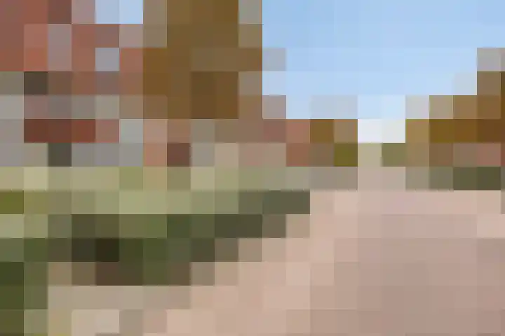 Trompstraat 15 07 Tilburg thumbnail 27