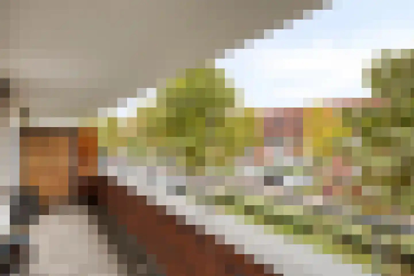 Trompstraat 15 09 Tilburg thumbnail 8