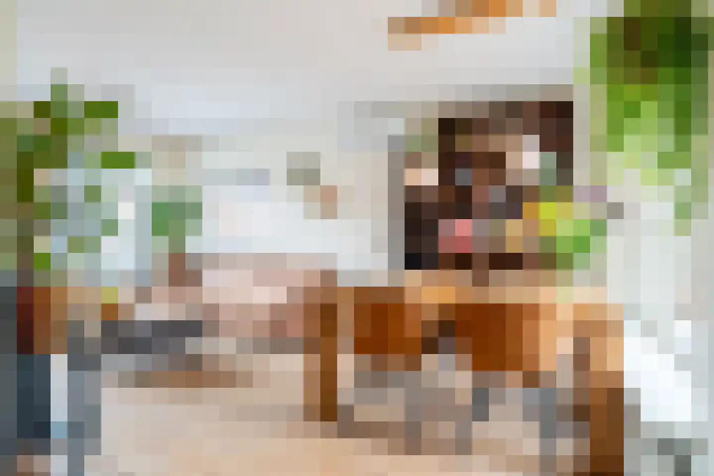 Trompstraat 15 Bedum thumbnail 22