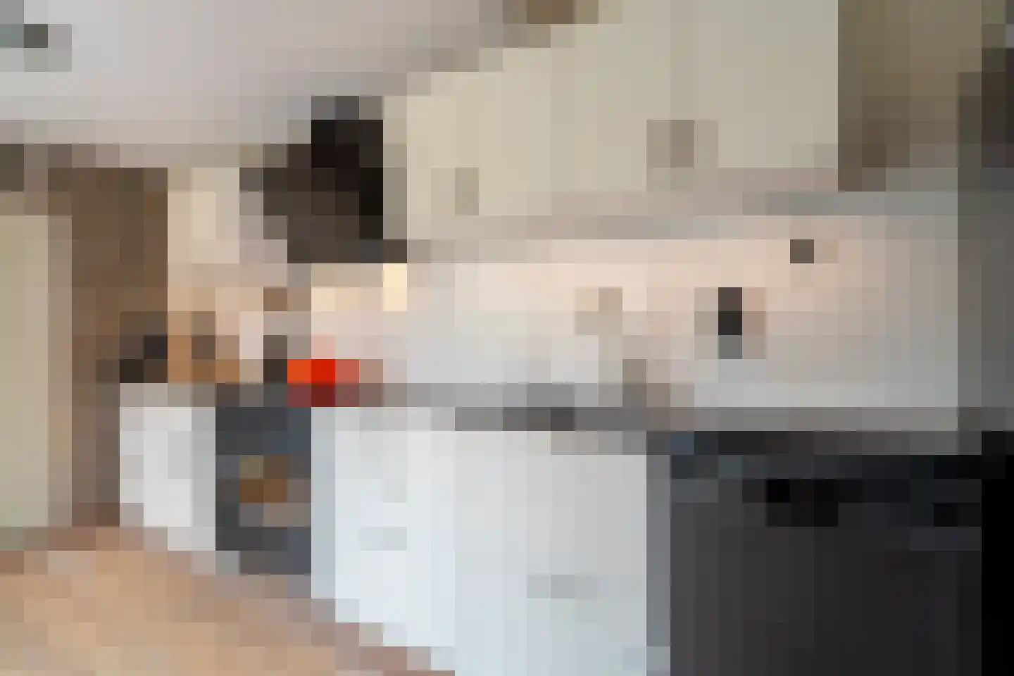 Trompstraat 15 Bedum thumbnail 26