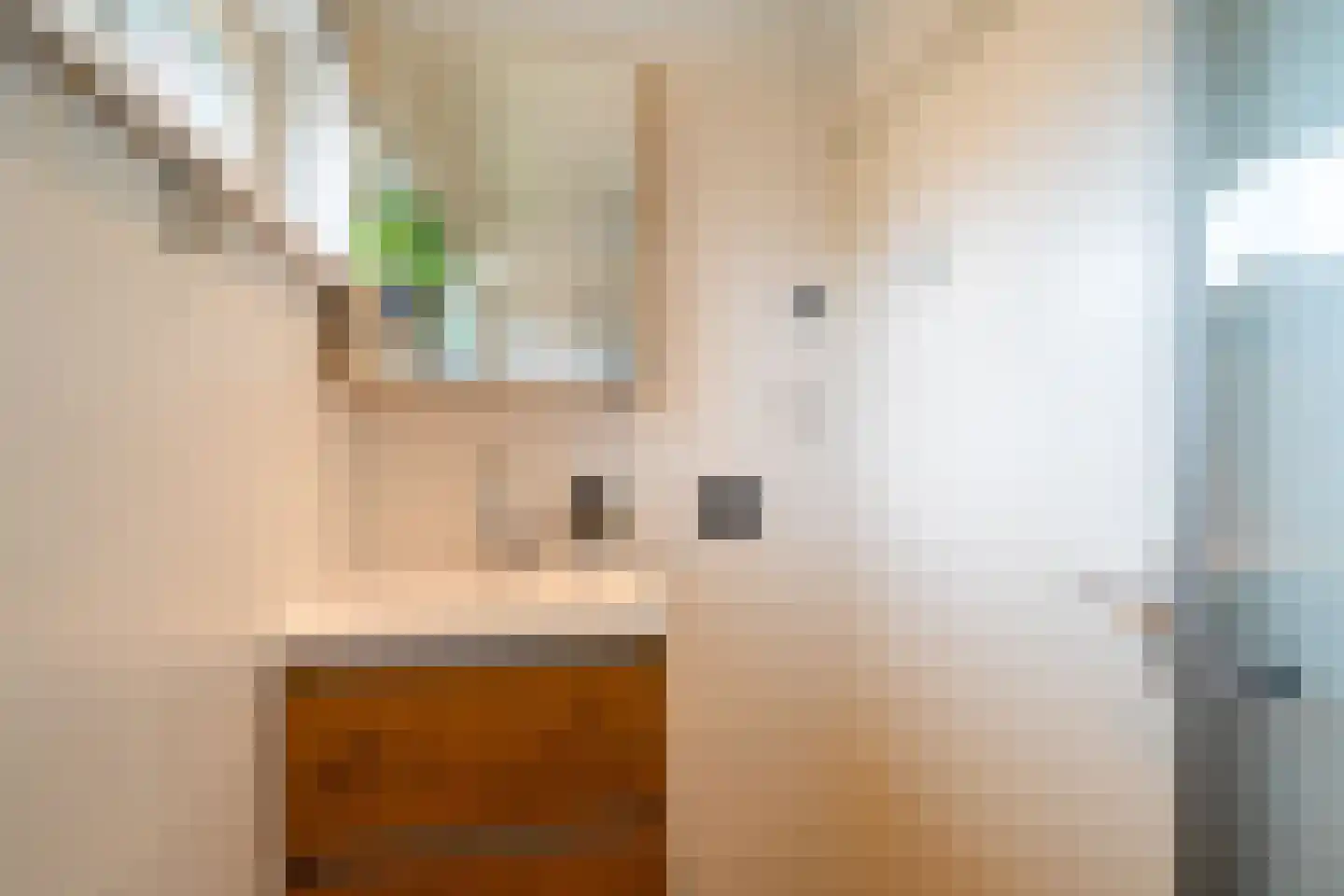 Trompstraat 15 Bedum thumbnail 45