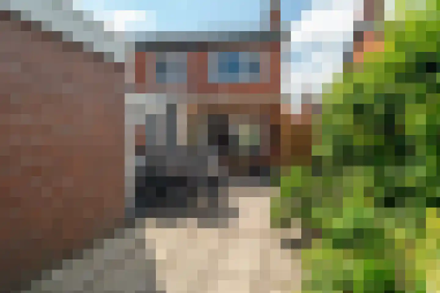 Trompstraat 15 Bedum thumbnail 5