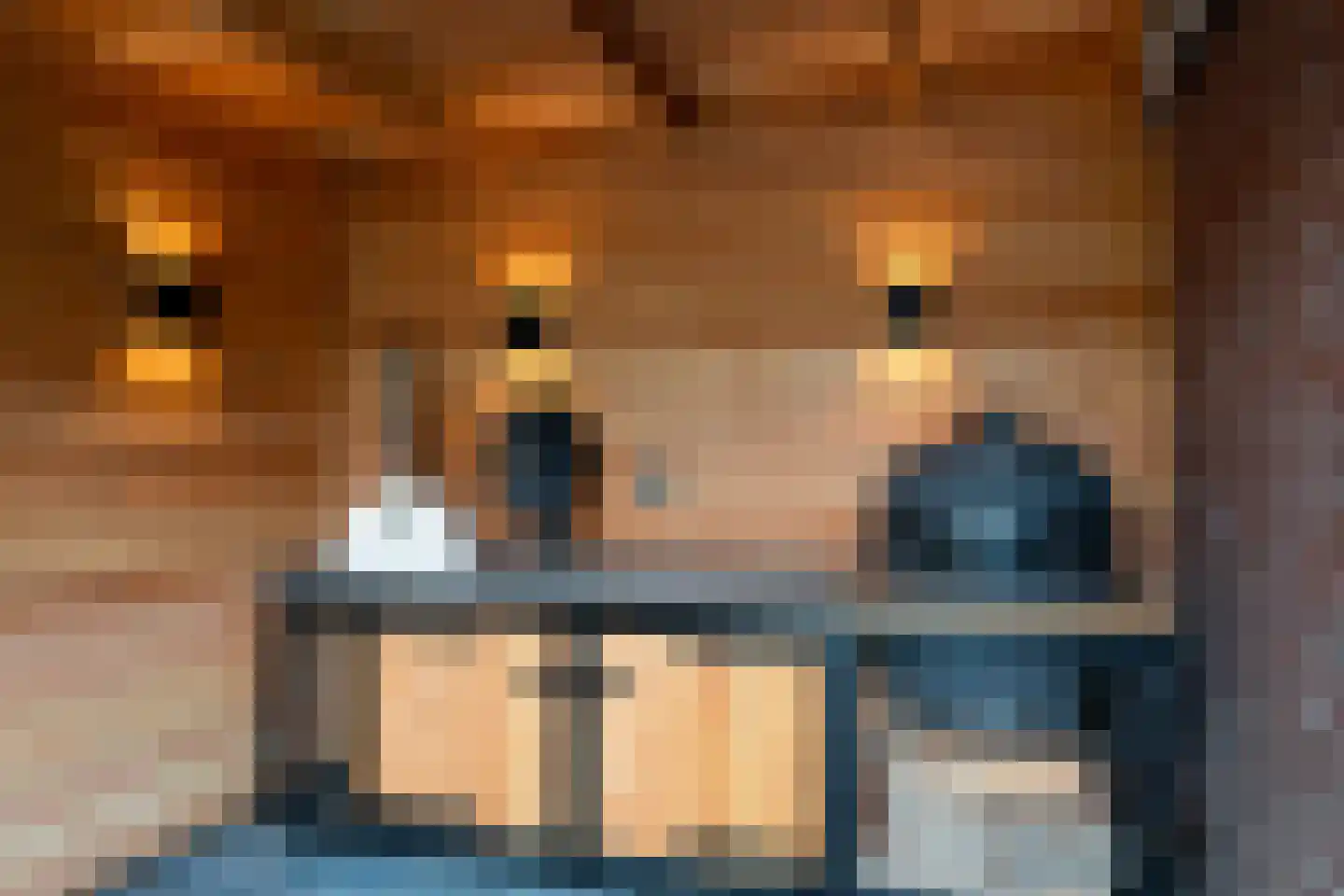 Trompstraat 15 Bedum thumbnail 57