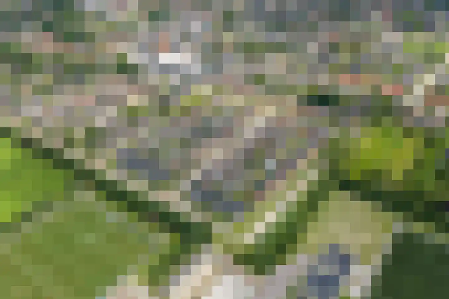 Trompstraat 15 Bedum thumbnail 64
