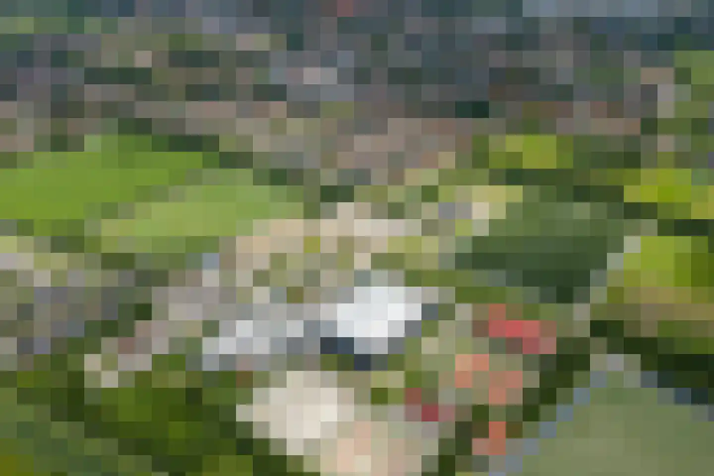 Trompstraat 15 Bedum thumbnail 65