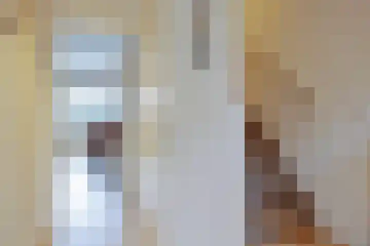 Trompstraat 15 Haaksbergen thumbnail 33