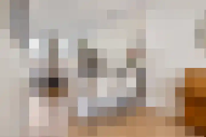 Trompstraat 15 IJmuiden thumbnail 10