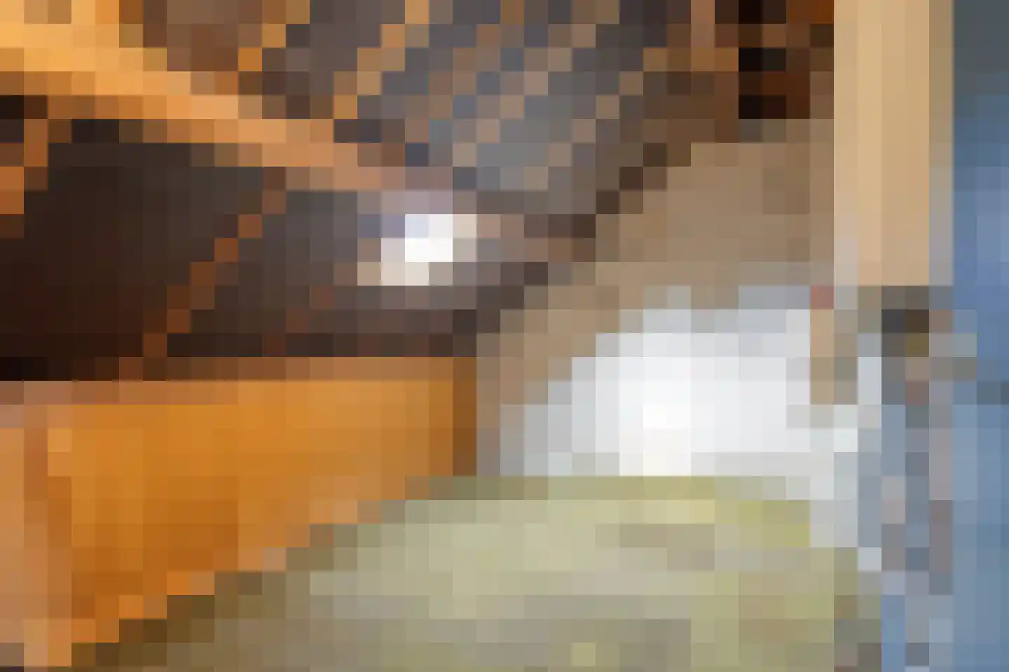 Trompstraat 15 Veghel thumbnail 31