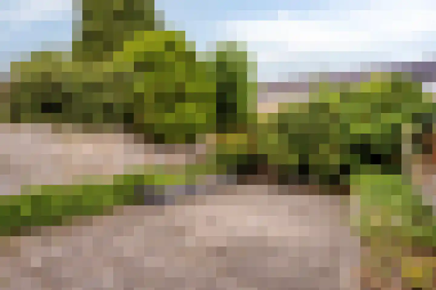 Trompstraat 15 Veghel thumbnail 33