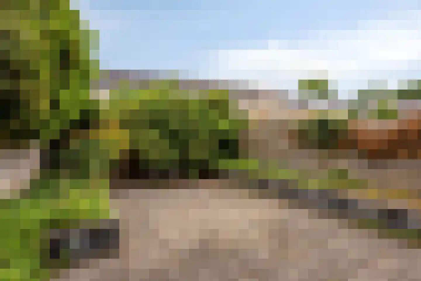 Trompstraat 15 Veghel thumbnail 34