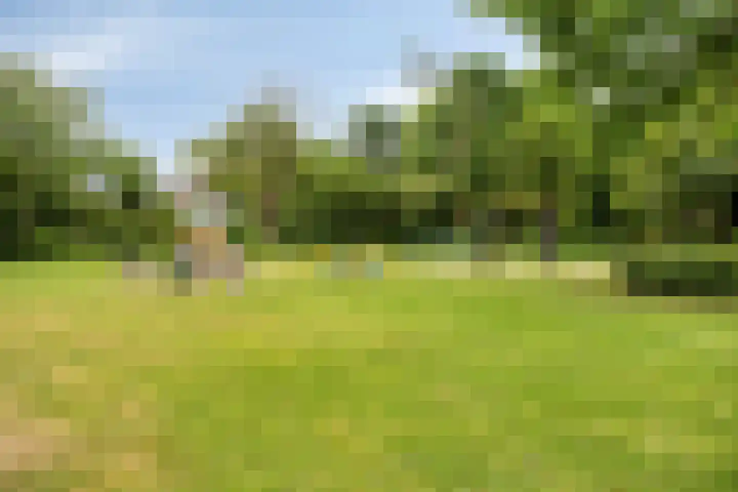 Trompstraat 15 Veghel thumbnail 38