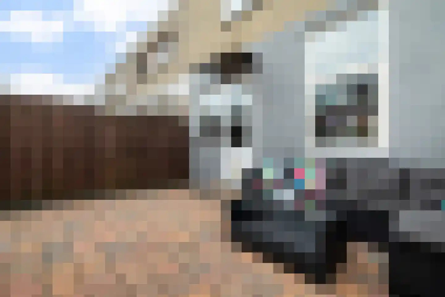 Trompstraat 16 Alphen aan den Rijn thumbnail 34