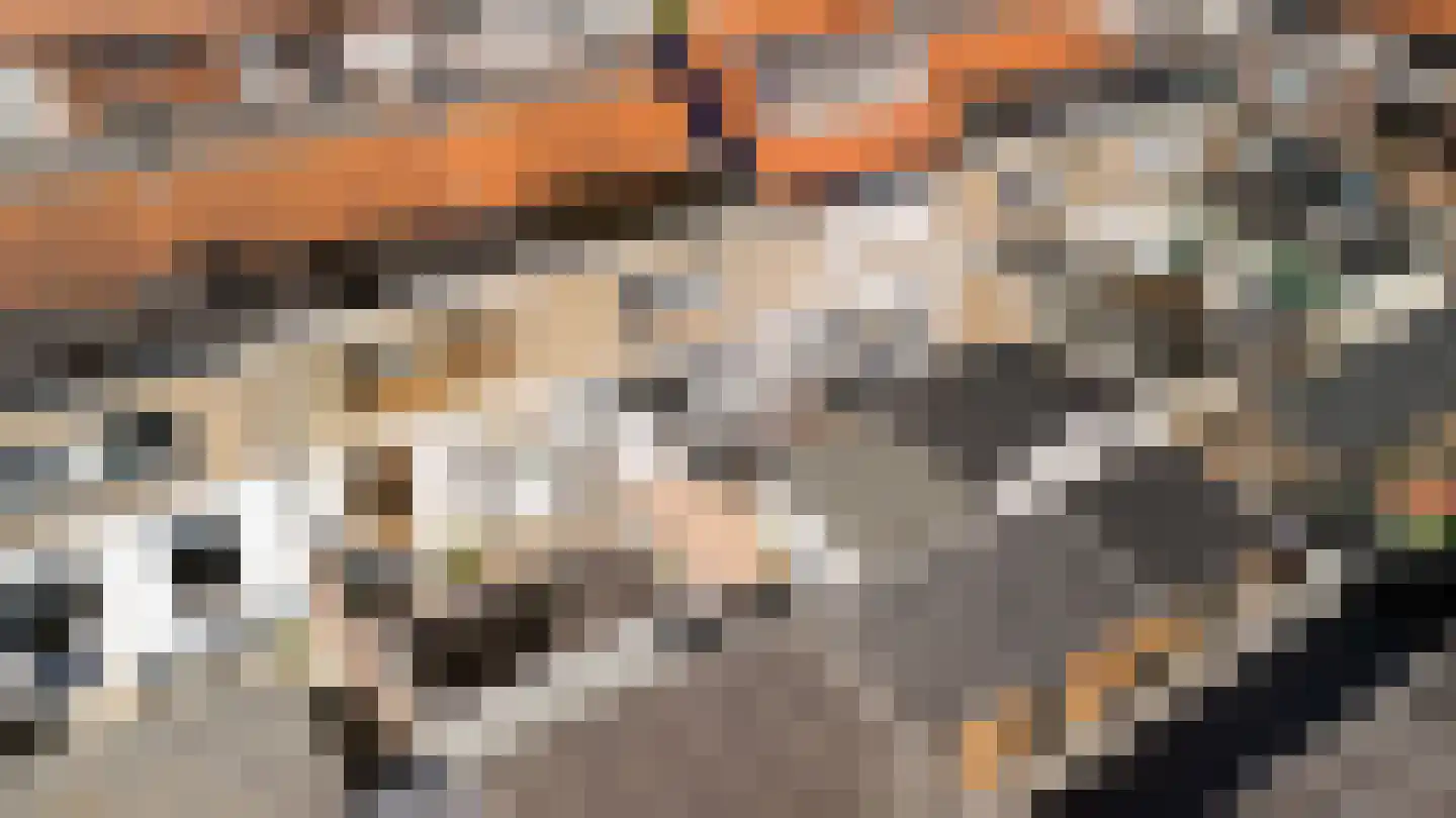 Trompstraat 16 Alphen aan den Rijn thumbnail 37