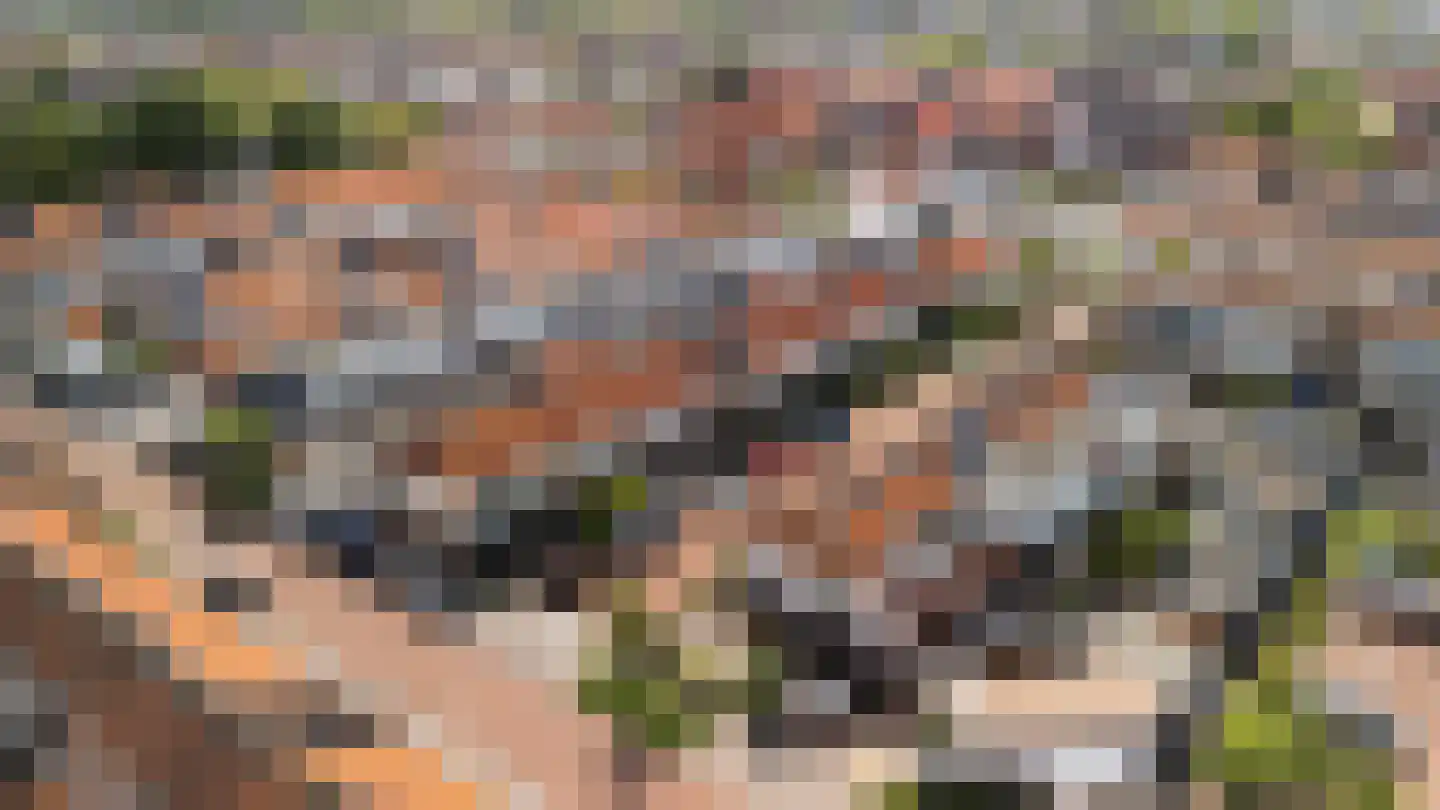 Trompstraat 16 Alphen aan den Rijn thumbnail 5