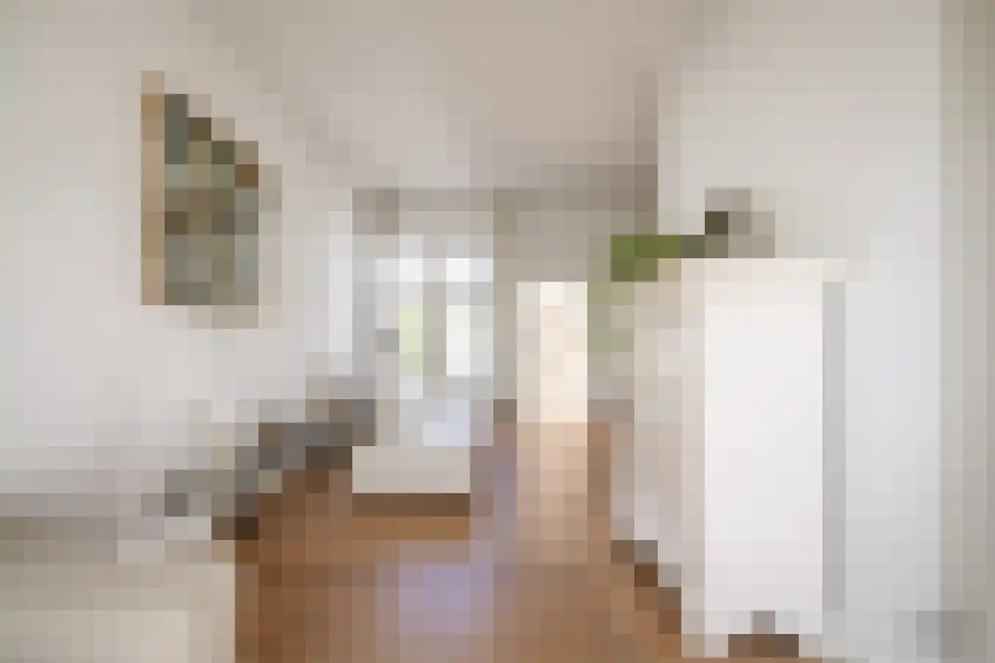Trompstraat 16 Apeldoorn thumbnail 12