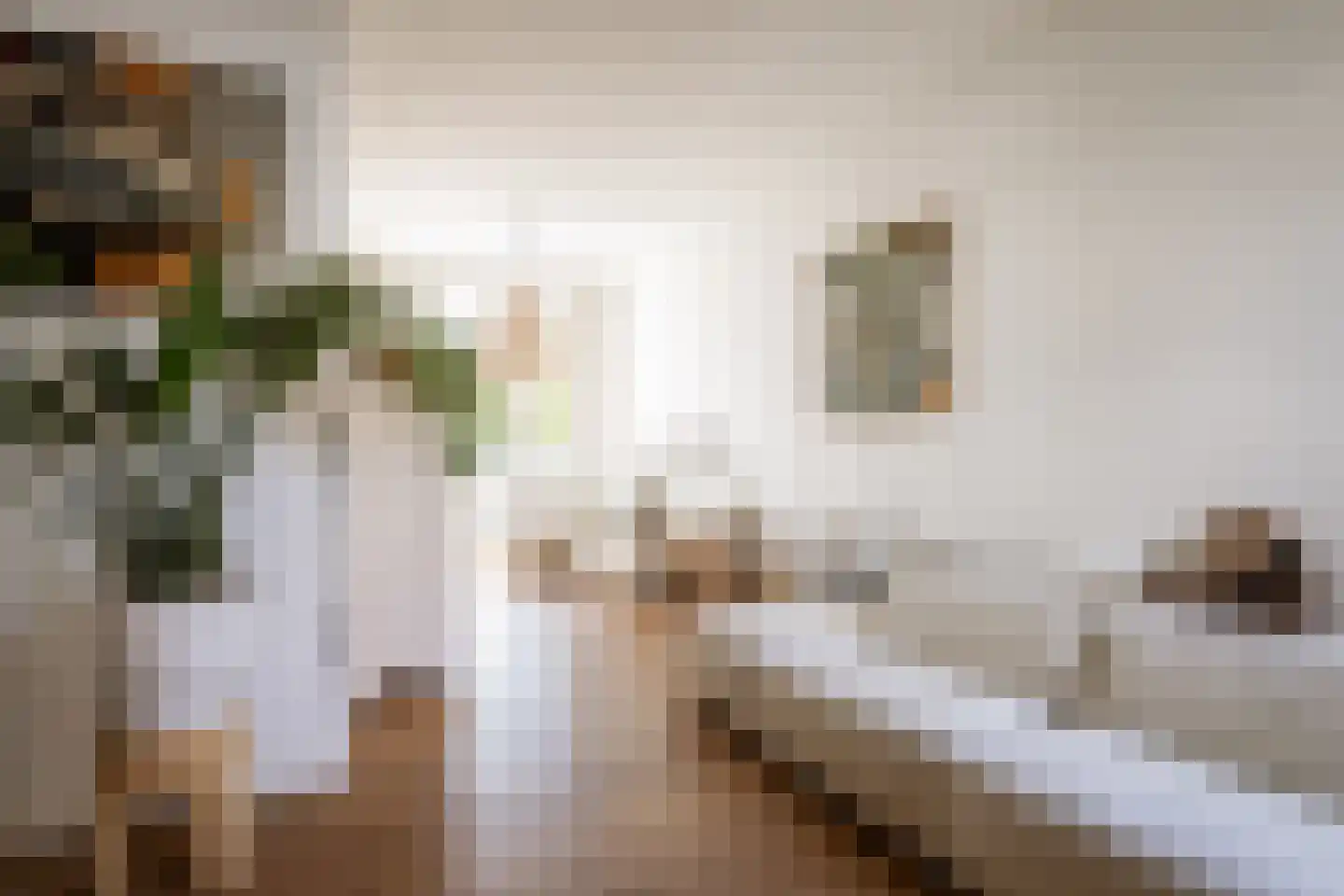 Trompstraat 16 Apeldoorn thumbnail 17