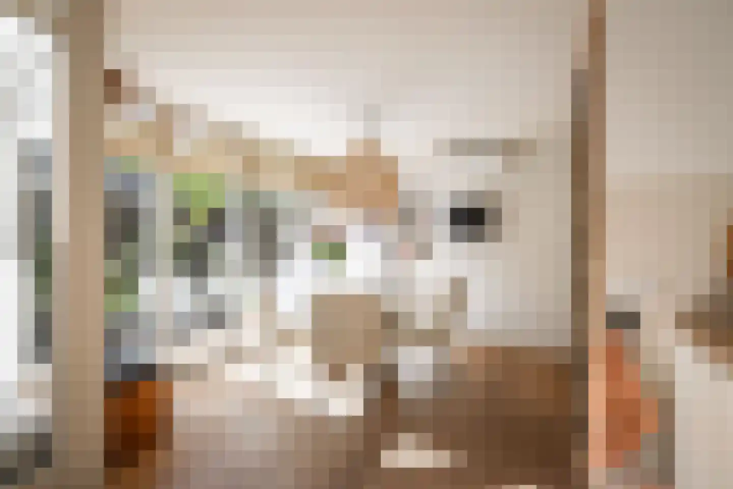 Trompstraat 16 Apeldoorn thumbnail 23